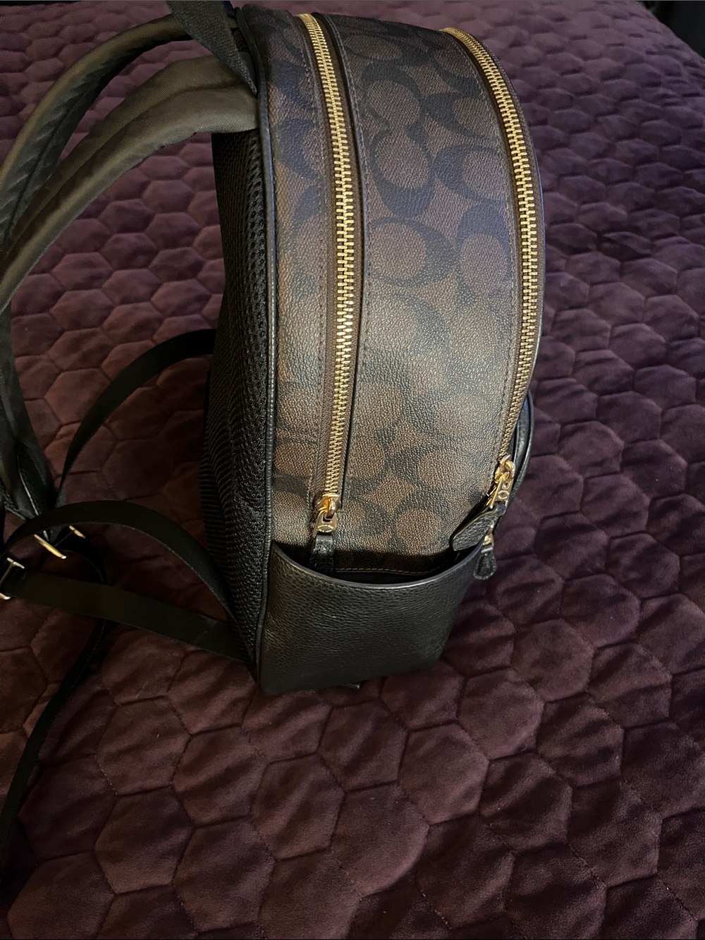 Coach Brown/Black Signature Mini Backpack with Gold Hardware - Picture 6 of 6